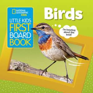 Little Kids First Board Book: Birds de Ruth Musgrave