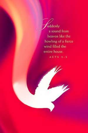 Suddenly Pentecost Bulletin 2015 (Pkg of 50) de Abingdon Press