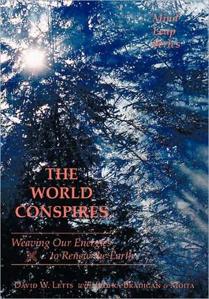 The World Conspires de David W. Letts