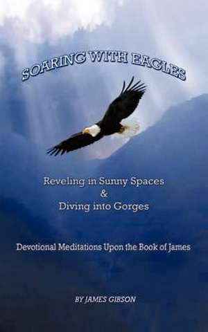 Soaring with Eagles de James Gibson