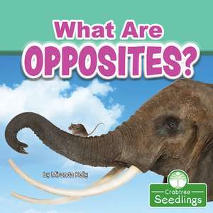 What Are Opposites? de Miranda Kelly