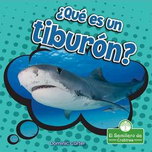 ¿Qué Es Un Tiburón? (What Is a Shark?) de Dominic Carter