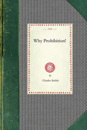 Why Prohibition! de Charles Stelzle