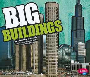 Big Buildings de Catherine Ipcizade