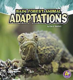 Rain Forest Animal Adaptations de Lisa J. Amstutz