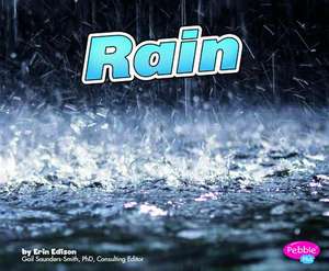 Rain de Erin Edison