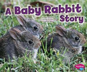 A Baby Rabbit Story de Jeni Wittrock