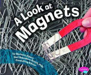 A Look at Magnets de Barbara Alpert