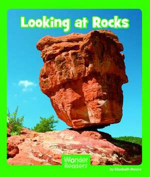 Looking at Rocks de Elizabeth Moore