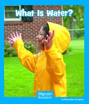 What Is Water? de Maryellen Gregoire