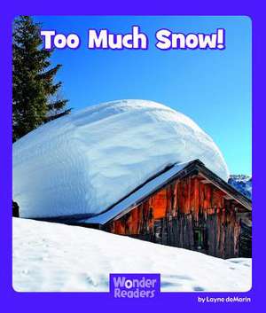 Too Much Snow de Layne Demarin