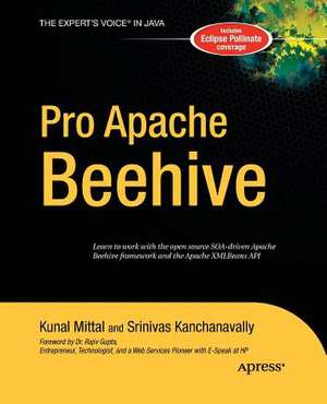 Pro Apache Beehive de Srinivas Kanchanavally