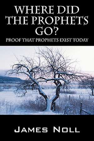 Where Did the Prophets Go?: Proof That Prophets Exist Today de James Noll