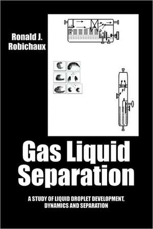 Gas Liquid Separation: Liquid Droplet Development Dynamics and Separation de Ronald J Robichaux