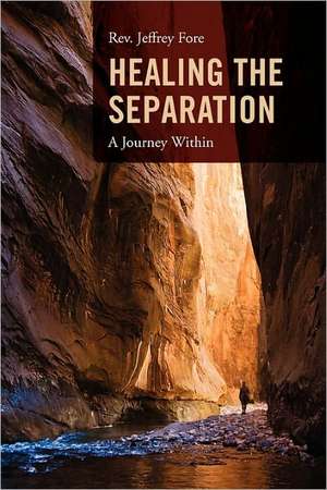 Healing the Separation: A Journey Within de Rev Jeffrey Fore