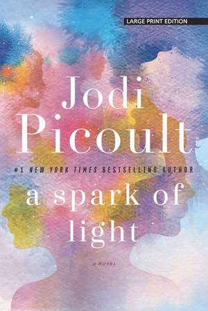 A Spark of Light de Jodi Picoult