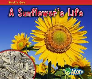 A Sunflower's Life de Nancy Dickmann