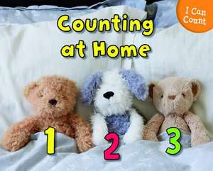 Counting at Home de Rebecca Rissman