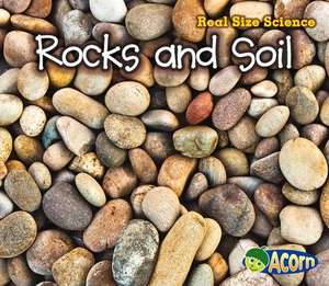 Rocks and Soil de Rebecca Rissman