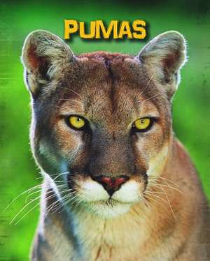 Pumas de Charlotte Guillain