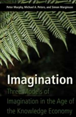 Imagination de Peter Murphy