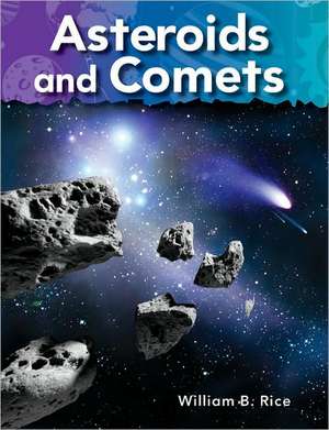 Asteroids and Comets: Neighbors in Space de William B. Rice