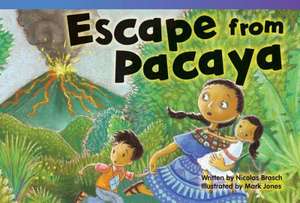Escape from Pacaya de Nicolas Brasch