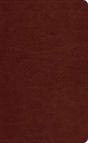 ESV Pocket Bible (TruTone, Chestnut) de Spck