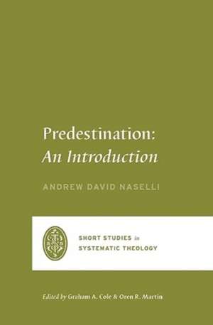 Predestination de Andrew David Naselli