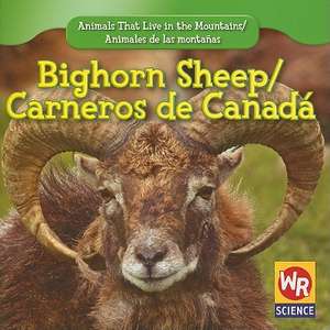 Bighorn Sheep/Carneros de Canada de JoAnn Early Macken