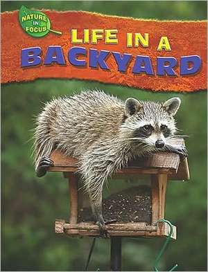 Life in a Backyard de Jen Green