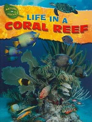 Life in a Coral Reef de Jen Green