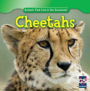 Cheetahs de Ethan Grucella