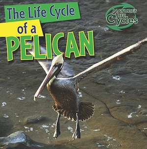 The Life Cycle of a Pelican de Anna Kingston