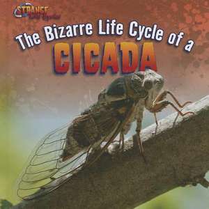 The Bizarre Life Cycle of a Cicada de Greg Roza