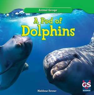 A Pod of Dolphins: Big Business on Your Computer de Matthew Fenner