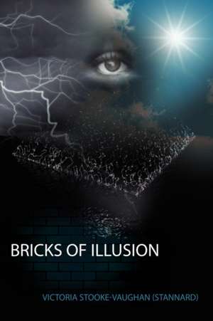 Bricks of Illusion de Victoria Stooke-Vaughan (Stannard)