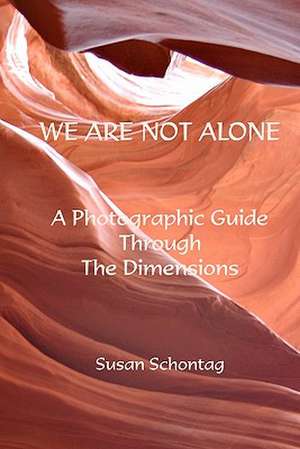 We Are Not Alone de Susan Schontag