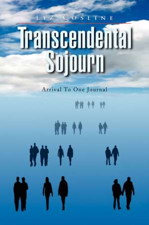 Transcendental Sojourn de Liz Cosline