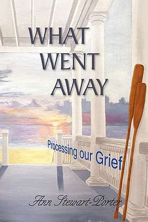 What Went Away de Ann Stewart-Porter