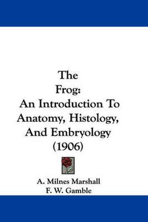 The Frog de A. Milnes Marshall