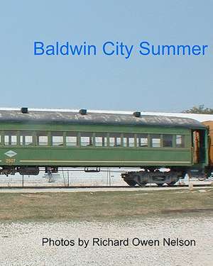 Baldwin City Summer de Richard Owen Nelson