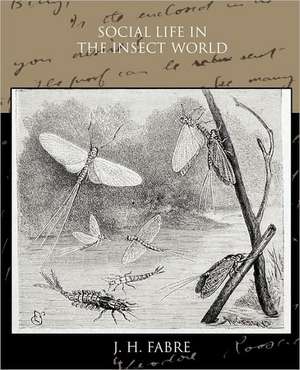 Social Life in the Insect World de J. H. Fabre