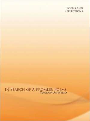 In Search of a Promise de Tundun Adeyemo