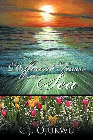 Different Faces of the Sea de C. J. Ojukwu