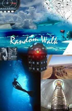 Random Walk de Winfried Wilcke