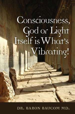 Consciousness, God or Light Itself Is What's Vibrating!: How the Bible Reveals Reincarnation de Baron Baucom