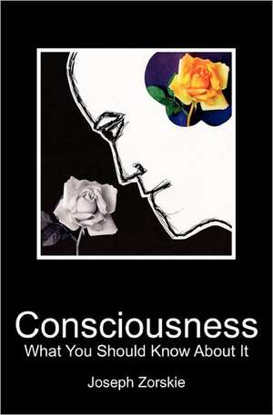 Consciousness de Joseph Zorskie