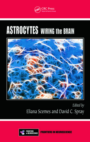 Astrocytes: Wiring the Brain de Eliana Scemes