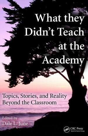 What They Didn't Teach at the Academy: Topics, Stories, and Reality beyond the Classroom de Dale L. June